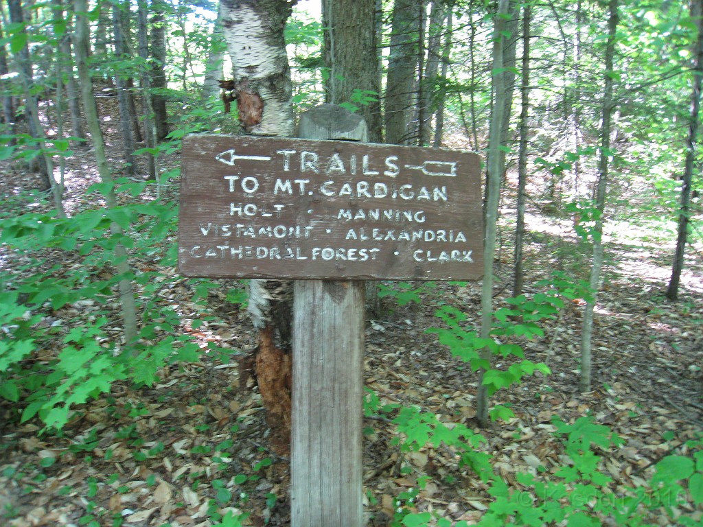 Mt Cardigan NH 2010 0050.jpg - Mt. Cardigan in New Hampshire. Summited on May 25, 2010. There are numerous trails to the peak... I had to pick the extremely difficult one. The views were worth it.